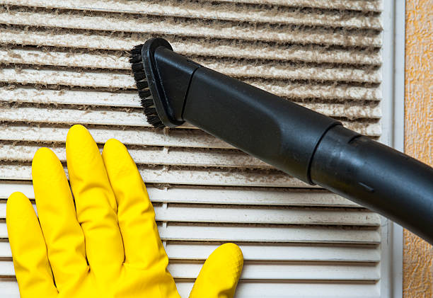 Best Commercial Air Duct Cleaning  in Egypt Lake Leto, FL
